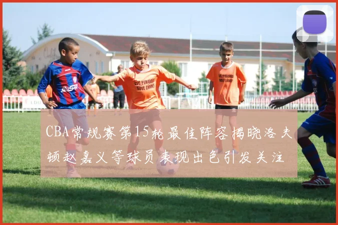 CBA常规赛第15轮最佳阵容揭晓洛夫顿赵嘉义等球员表现出色引发关注