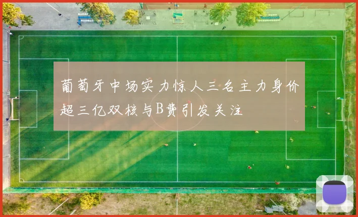 葡萄牙中场实力惊人三名主力身价超三亿双核与B费引发关注